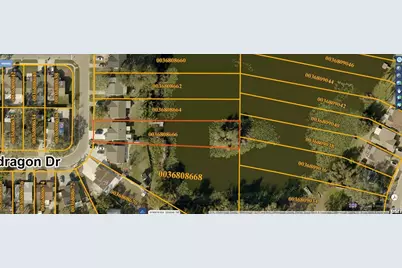 12505 Mondragon Drive, Tampa, FL 33625 - Photo 47