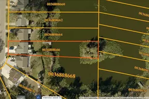 12505 Mondragon Dr, Tampa, FL 33625 - Photo 47