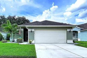 5605 Cannonade Dr, Wesley Chapel, FL 33544 - Photo 1