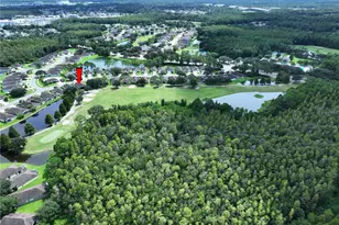 5605 Cannonade Dr, Wesley Chapel, FL 33544 - Photo 85