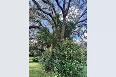 380 Moale Road, Brooksville, FL 34604 - Photo 57