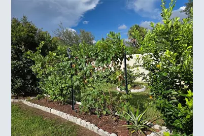 4529 Reisswood Loop, Palmetto, FL 34221 - Photo 47