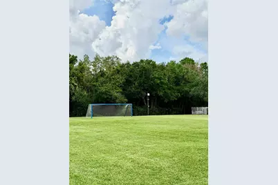 26944 Affirmed Drive, Wesley Chapel, FL 33544 - Photo 61