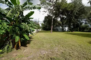 10210 Davis Rd, Tampa, FL 33637 - Photo 23
