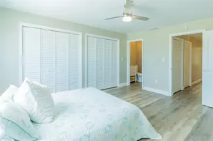433 S Paula Dr, Dunedin, FL 34698 - Photo 45