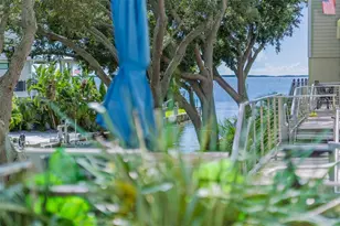 433 S Paula Dr, Dunedin, FL 34698 - Photo 63