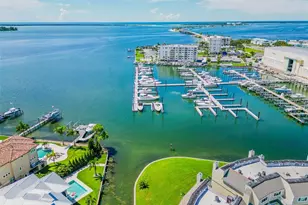 433 S Paula Dr, Dunedin, FL 34698 - Photo 85