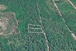 231 and 233 W Edgeline Rd, Satsuma, FL 32189 - Photo 1