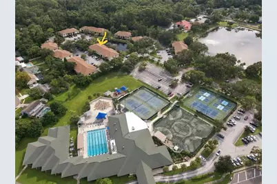 3380 Crystal Court E #P, Palm Harbor, FL 34685 - Photo 39