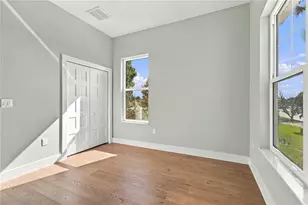 316 Indiana Ave, Crystal Beach, FL 34681 - Photo 35