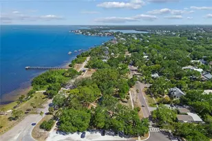 316 Indiana Ave, Crystal Beach, FL 34681 - Photo 59