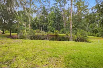 28434 Sonny Drive, Wesley Chapel, FL 33544 - Photo 25