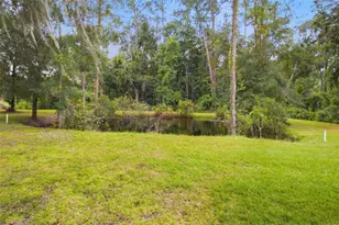 28434 Sonny Dr, Wesley Chapel, FL 33544 - Photo 25