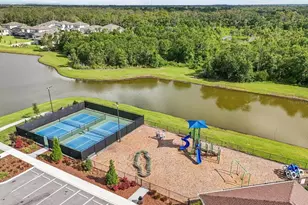 13157 Peachleaf Ave, Riverview, FL 33579 - Photo 23
