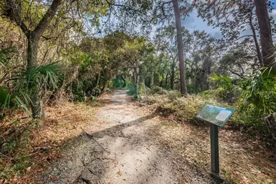2287 Carolyn Drive, Dunedin, FL 34698 - Photo 49