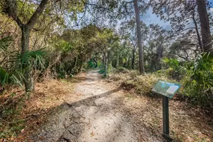2287 Carolyn Dr, Dunedin, FL 34698 - Photo 49