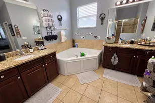 20012 Bright Oak Ct, Tampa, FL 33647 - Photo 17