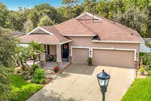 20012 Bright Oak Ct, Tampa, FL 33647 - Photo 1