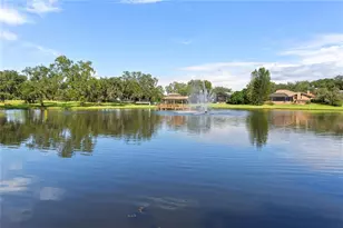 3275 Cobbs Dr, Palm Harbor, FL 34684 - Photo 55