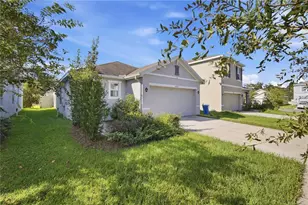 10836 Trailing Vine Dr, Tampa, FL 33610 - Photo 3