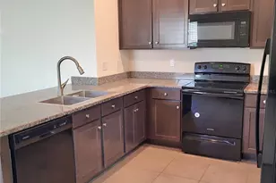 10836 Trailing Vine Dr, Tampa, FL 33610 - Photo 3