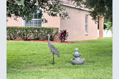 10146 Bloomfield Hills Drive, Seffner, FL 33584 - Photo 17