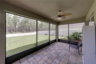30805 Satinleaf Run, Brooksville, FL 34602 - Photo 45