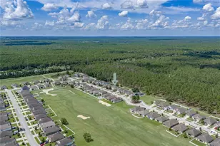 30805 Satinleaf Run, Brooksville, FL 34602 - Photo 55
