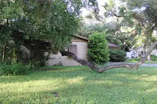 4417 W Watrous Ave, Tampa, FL 33629 - Photo 5