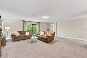 21903 Woodshadow Way, Land O Lakes, FL 34637 - Photo 45
