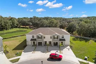 1393 Colt Creek Pl, Wesley Chapel, FL 33543 - Photo 23