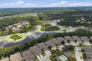 7526 Deer Path Ln, Land O Lakes, FL 34637 - Photo 37