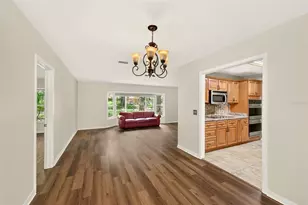 303 St Augustine Ave, Temple Terrace, FL 33617 - Photo 11