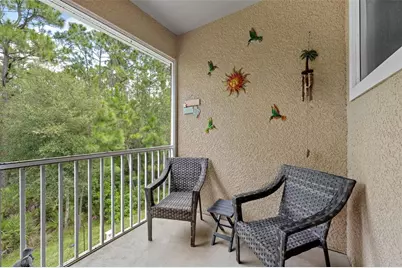 12612 Silverdale Street, Tampa, FL 33626 - Photo 27