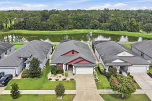 12152 Creek Preserve Dr, Riverview, FL 33579 - Photo 47