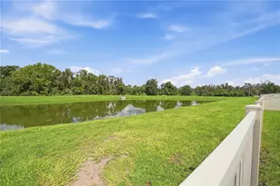 12152 Creek Preserve Dr, Riverview, FL 33579 - Photo 37