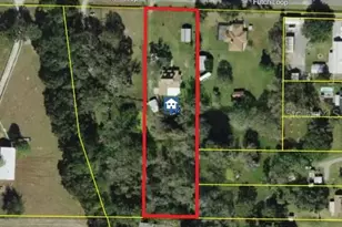 3717 Futch Loop, Plant City, FL 33566 - Photo 3