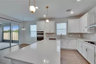 4622 Dover Bluff Ct, Valrico, FL 33594 - Photo 29