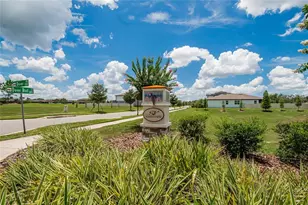 4622 Dover Bluff Ct, Valrico, FL 33594 - Photo 77