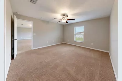 5005 White Chicory Drive, Apollo Beach, FL 33572 - Photo 23