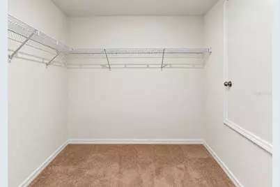 5005 White Chicory Drive, Apollo Beach, FL 33572 - Photo 27