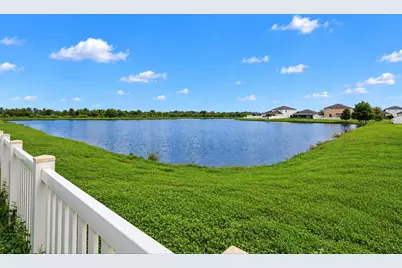 5005 White Chicory Drive, Apollo Beach, FL 33572 - Photo 3