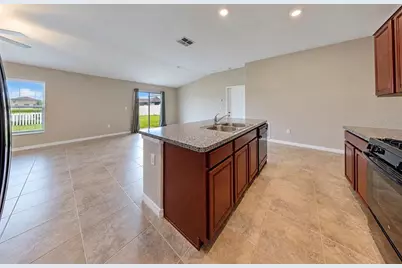 5005 White Chicory Drive, Apollo Beach, FL 33572 - Photo 7
