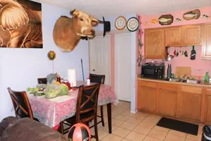 [Address not provided], Tampa, FL 33612 - Photo 29
