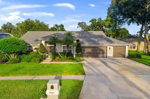 3905 Northridge Dr, Valrico, FL 33596 - Photo 1