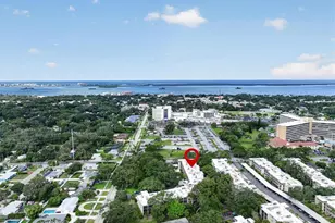 820 Virginia St, Dunedin, FL 34698 - Photo 41