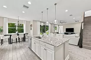 31584 Colada Drift Way, Wesley Chapel, FL 33545 - Photo 13