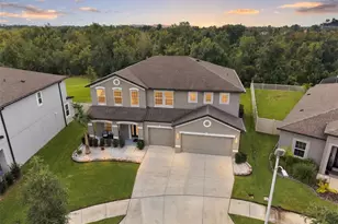 31584 Colada Drift Way, Wesley Chapel, FL 33545 - Photo 59