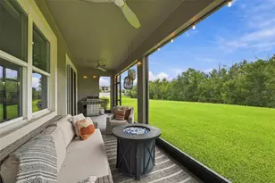 31584 Colada Drift Way, Wesley Chapel, FL 33545 - Photo 5