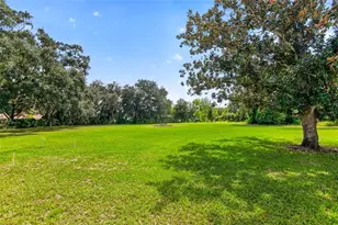 10006 Evanston Ln, Wesley Chapel, FL 33545 - Photo 29